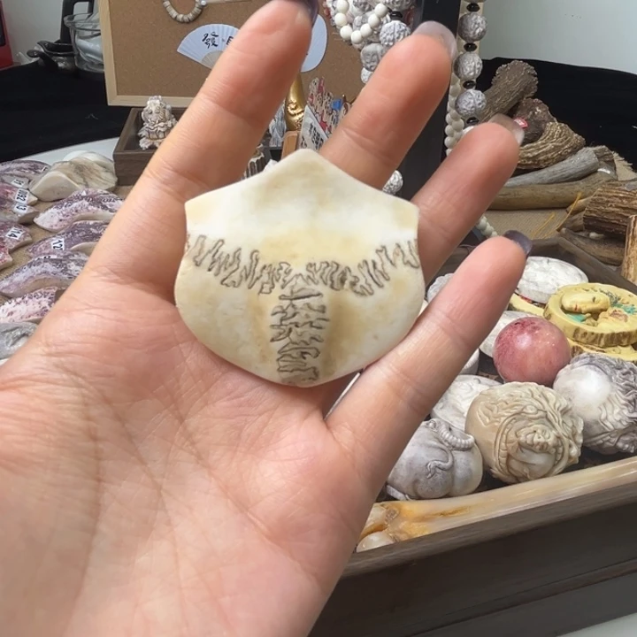 A***A养殖马鹿三界牌小