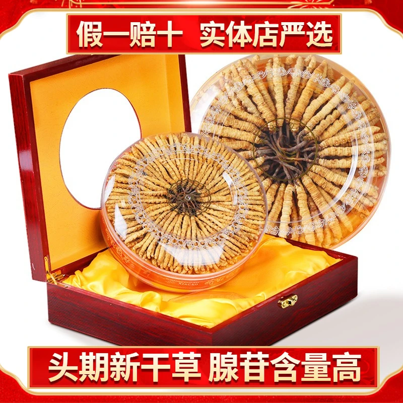 【西藏洛桑】冬虫夏草精选虫草4根/克礼盒装滋补冬虫草