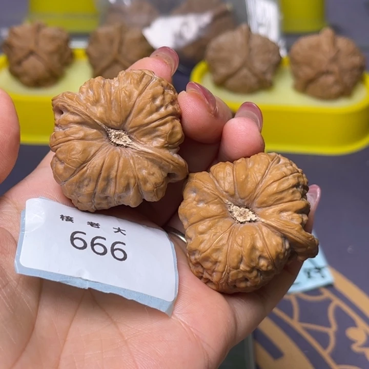 文玩核桃把件南瓜练手40.666