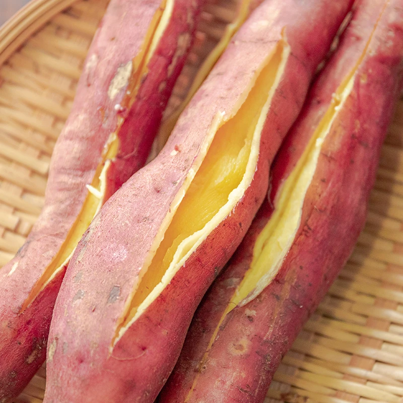 陕西板栗红薯 4.5斤装8-15根 j