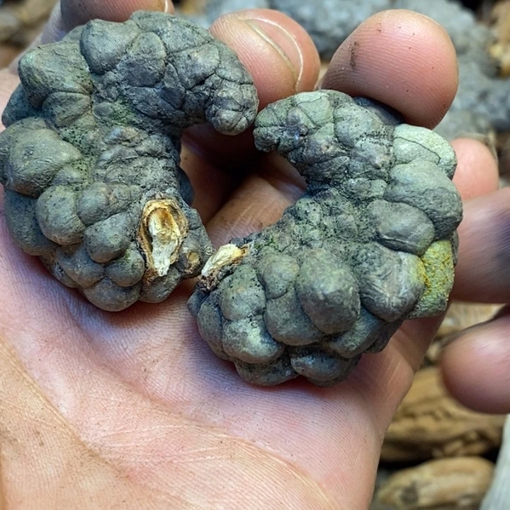 桃核吊坠娜姐在一起124