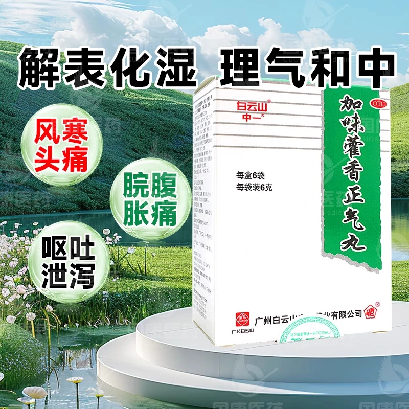 中一牌加味藿香正气丸6g*6袋 白云山湿气和外感风寒呕吐泄泻