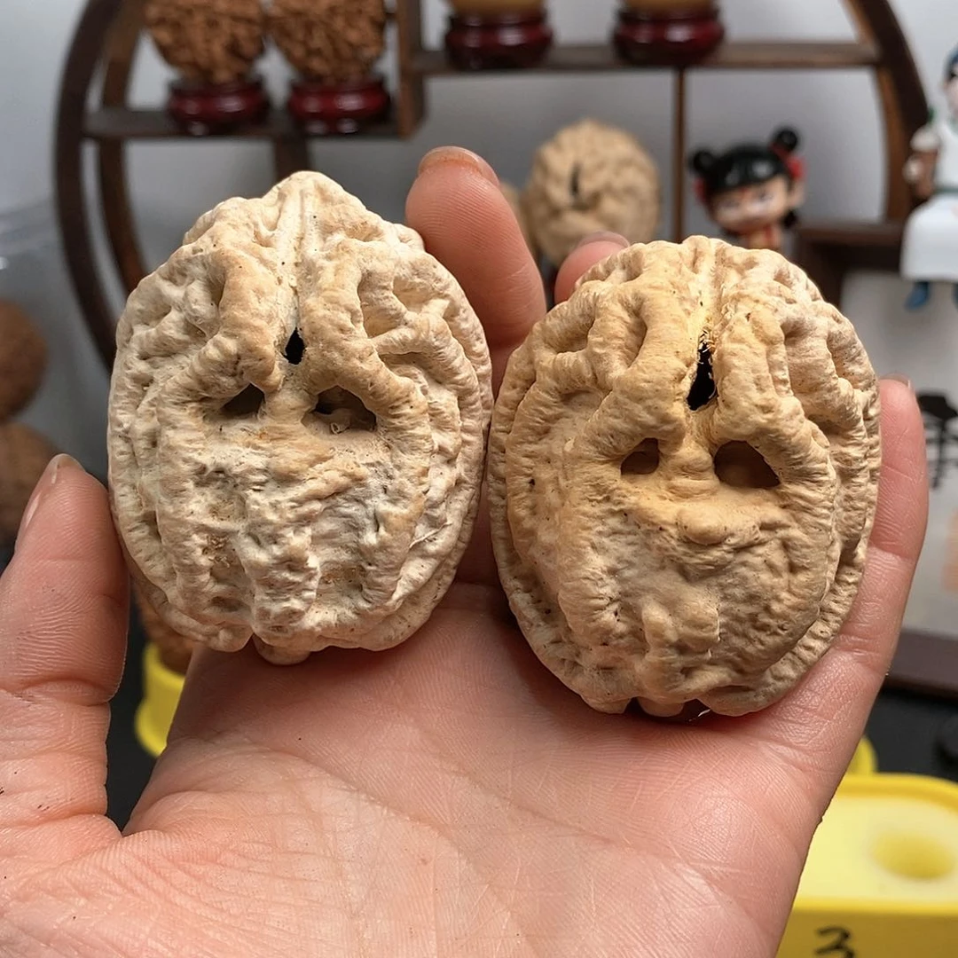 文玩核桃把件奶*鸭鬼脸乾坤核5164