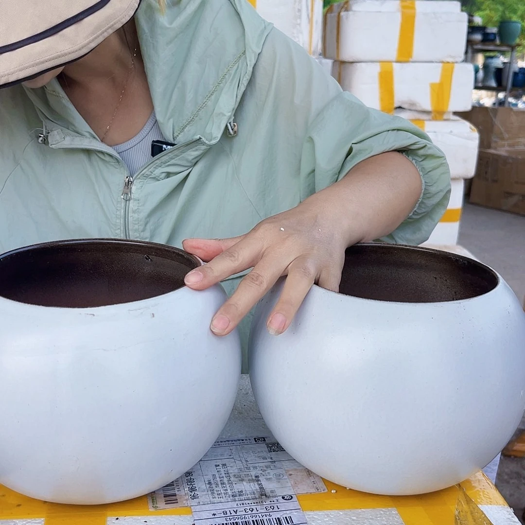 王嫂花盆直播0524/435