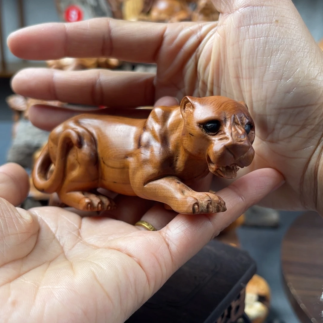 柏木（崖柏）崖柏太行山脉