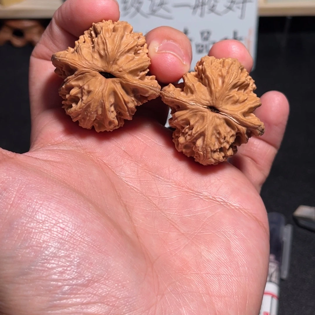 39全品红皮盘龙虎头