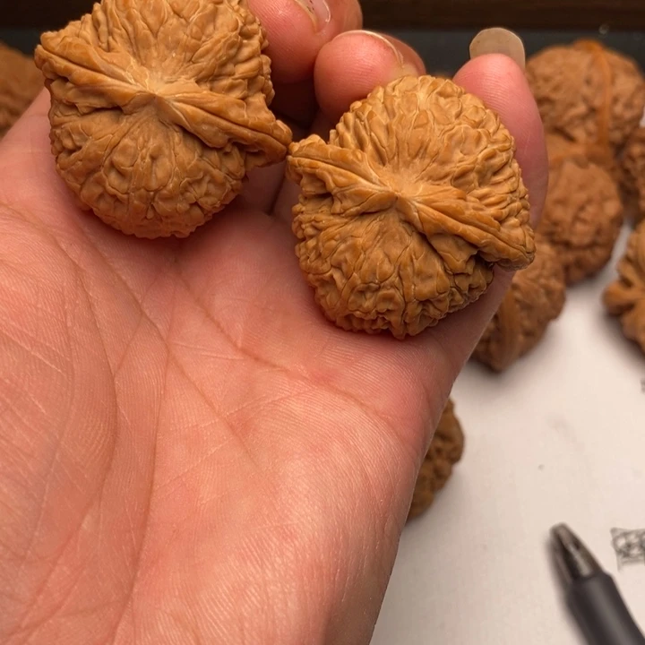 广***志核桃手串/手链卡姿兰大眼睛40尺寸