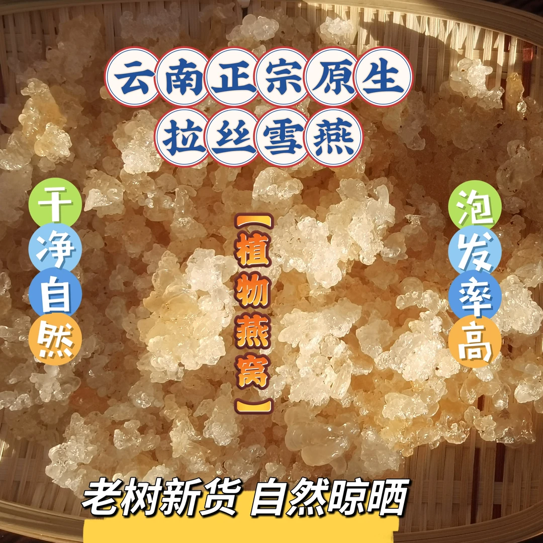 【山货】云南天然【拉丝雪燕】老树新货农家精选自然晒干高品质保证