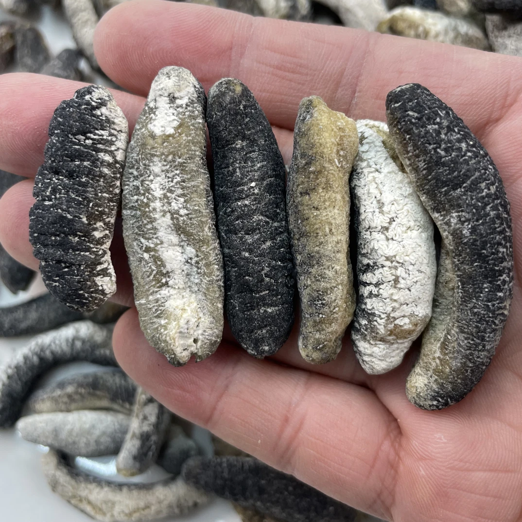 深海明秃参淡干海参高泡发率Q弹厚肉可炖煮焖炒熬汤