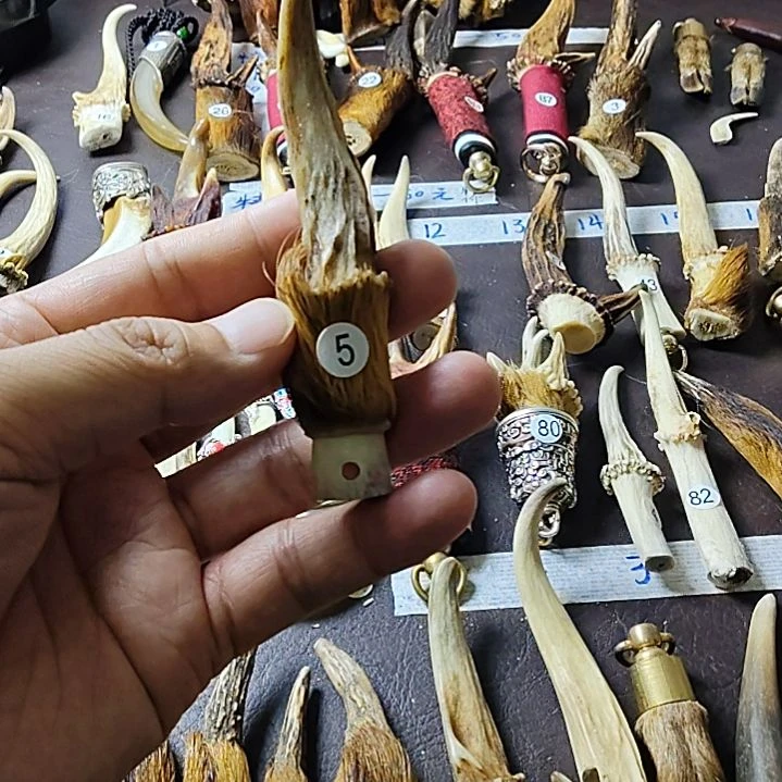鸿乐堂直播间选货