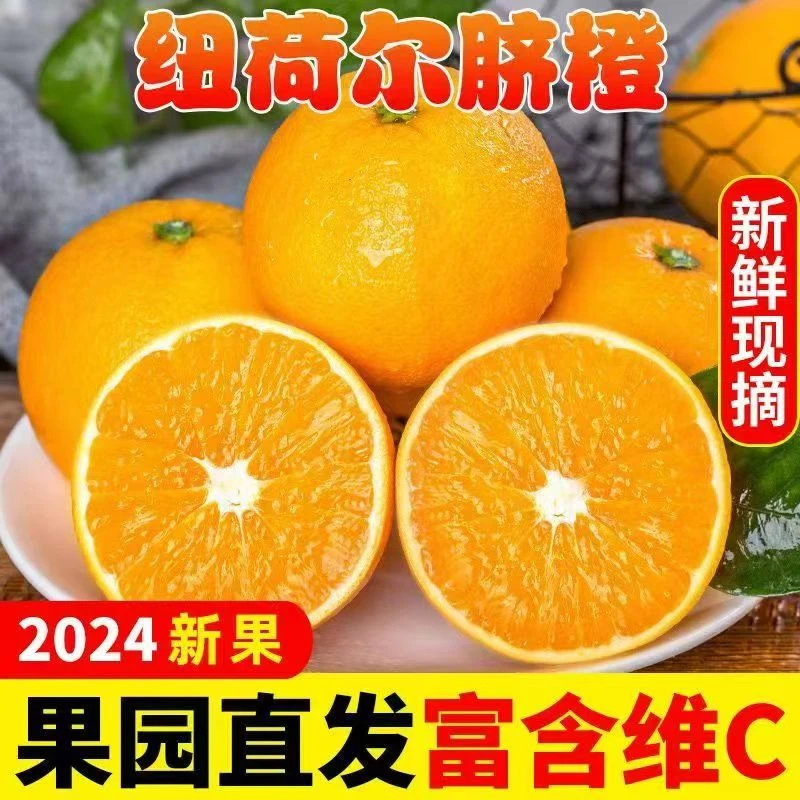 【买3斤送2斤】正宗纽荷尔脐橙维C之王新鲜水果带箱5斤