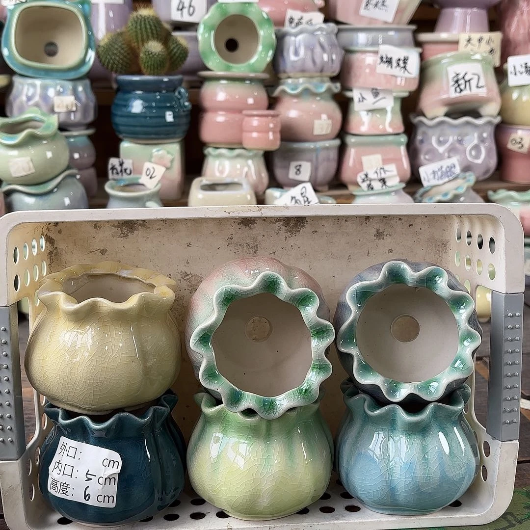 量货/5口高6深浅搭配发6