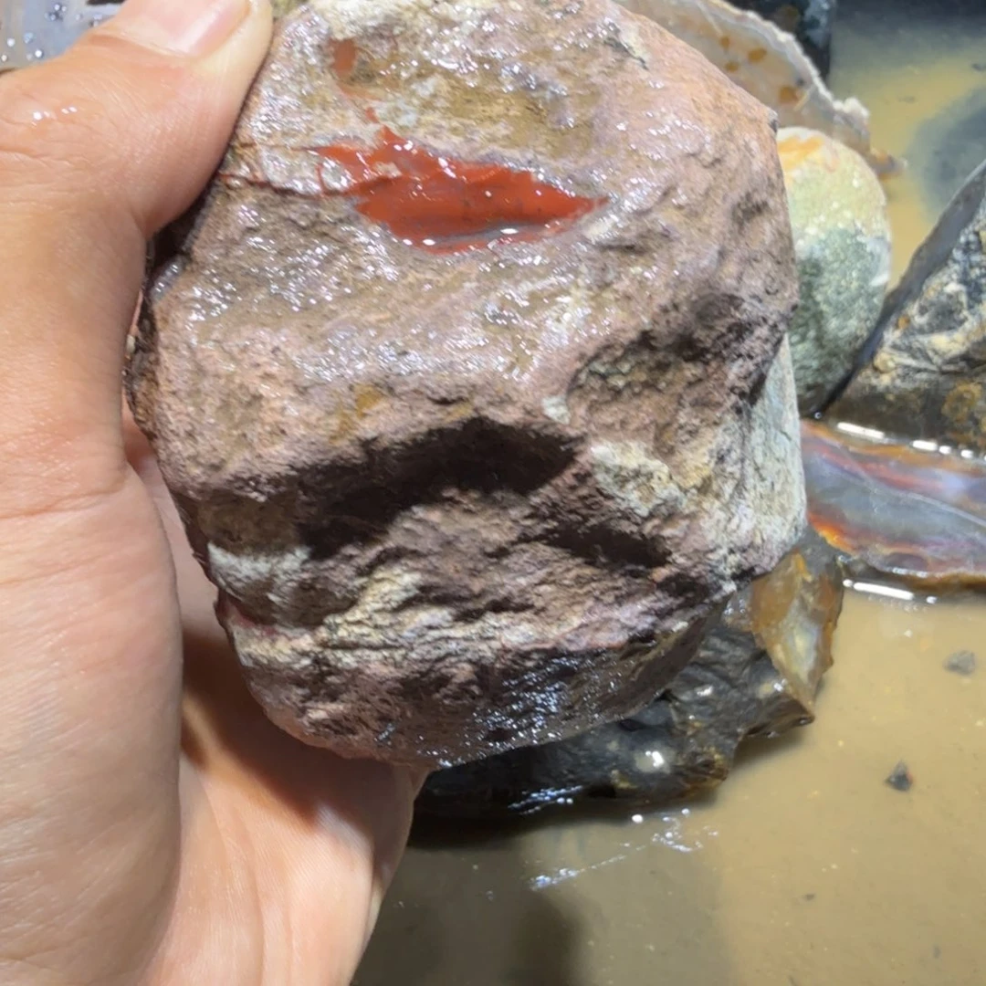 未镶嵌玛瑙/玉髓珠宝半成品