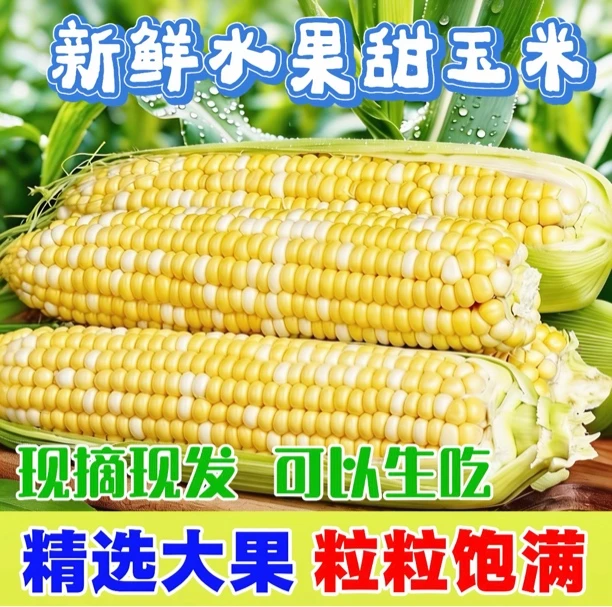 新鲜金银双色水果玉米甜脆多汁可生吃