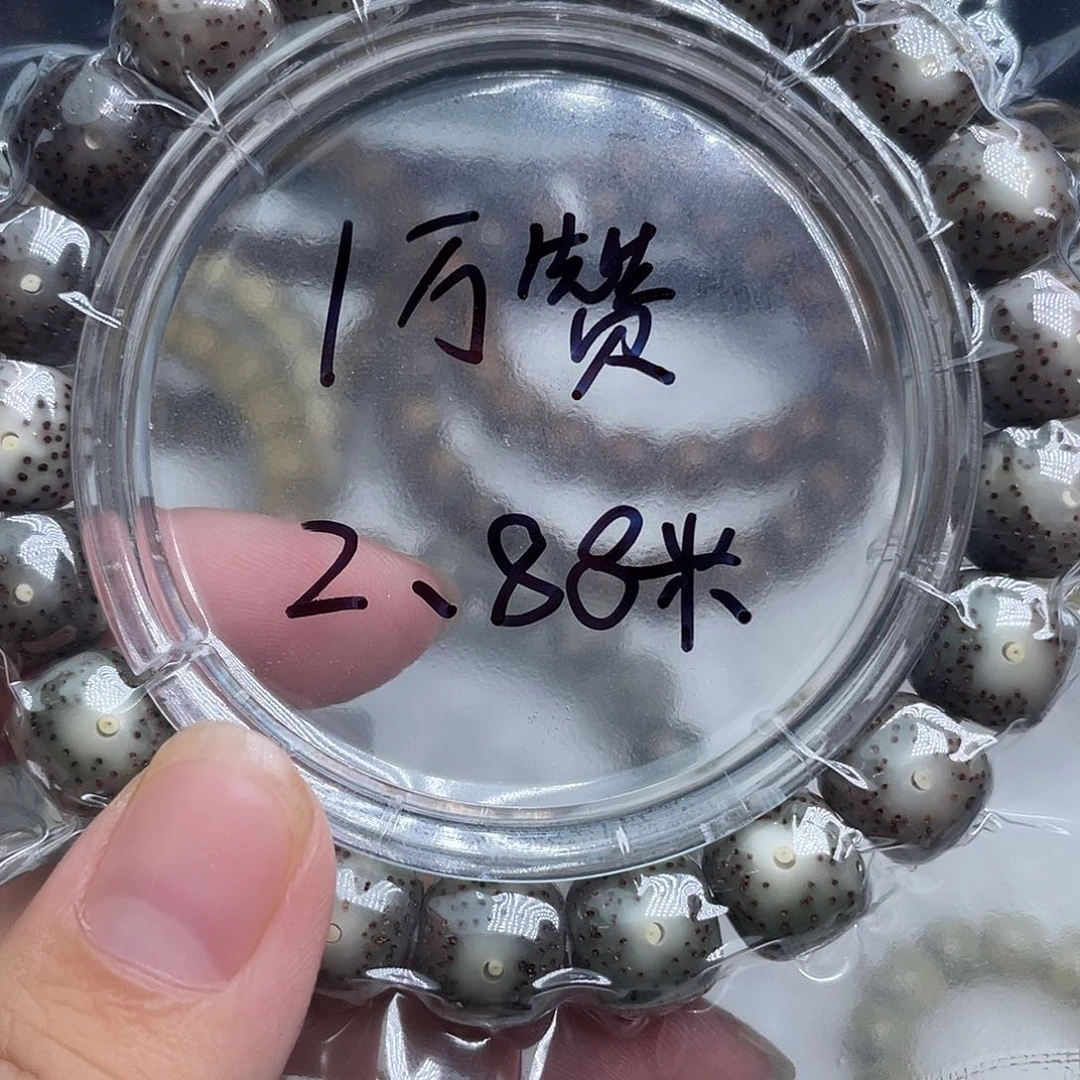星月菩提手串淳**意11/10同枝果练手款