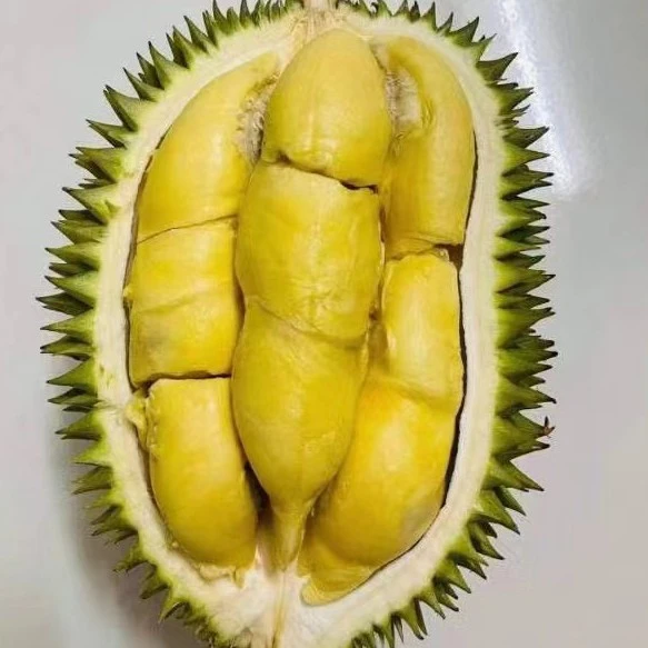 越南液氮树熟野猫榴莲，口味仅次于猫山王D197