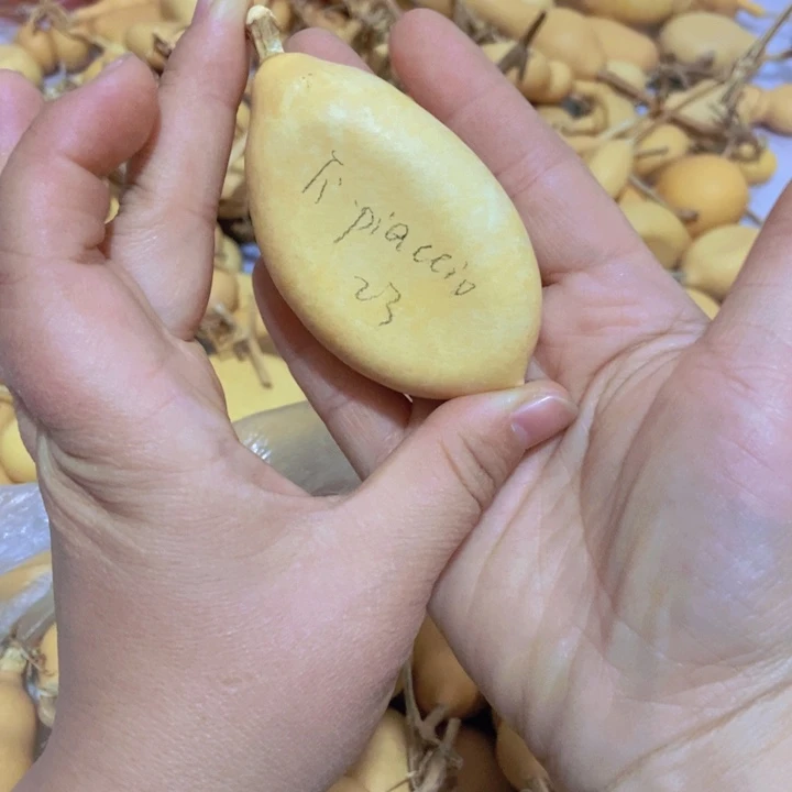 T***.Tipis高升葫芦恭喜发财