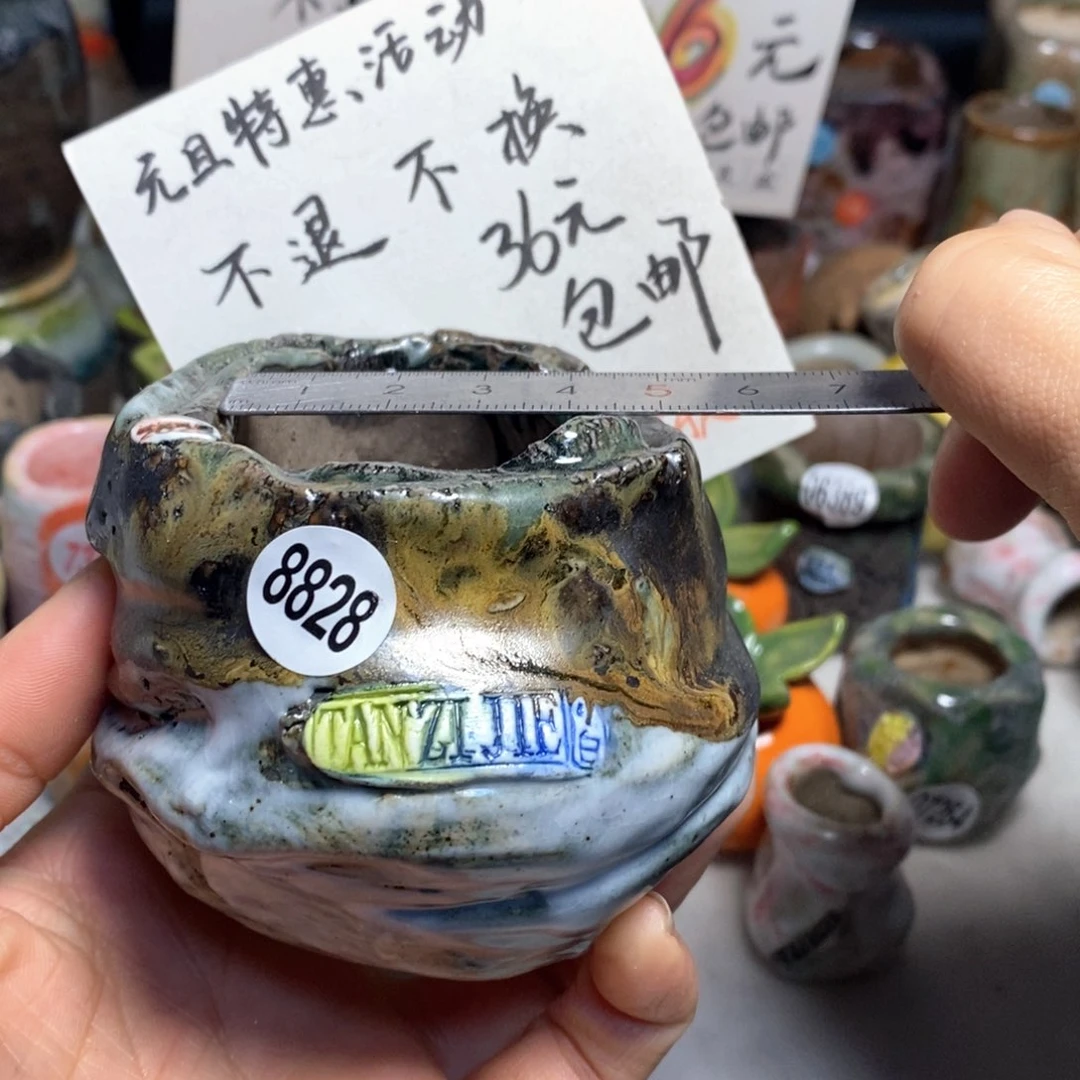 元旦特惠盆不退不换，原价98元一个