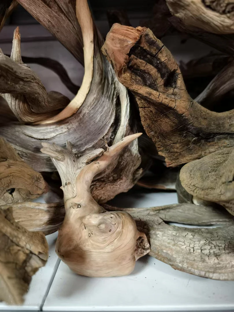 太行崖柏，陈化，意境，随形