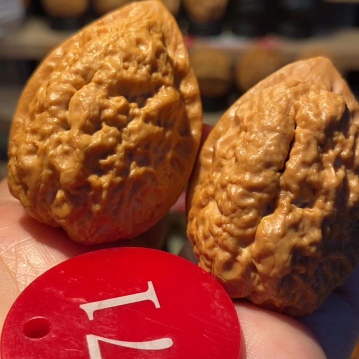 羚羊开背疙瘩包39尺寸