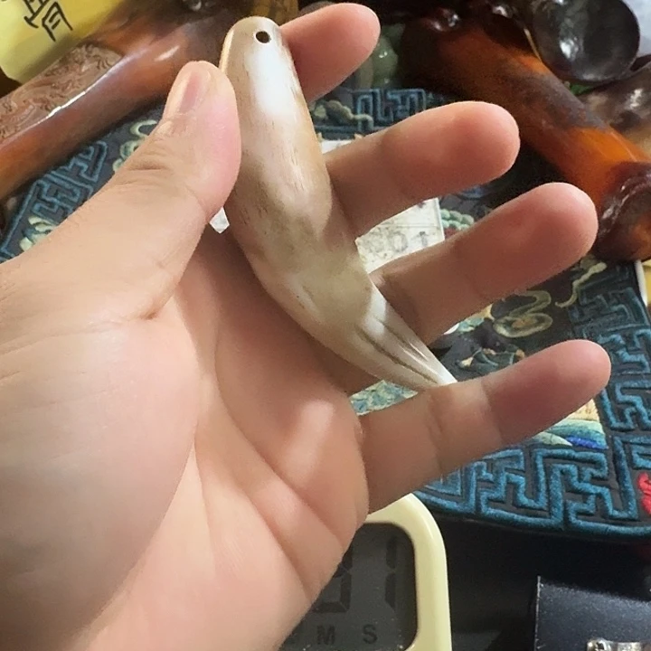 大哥专拍链接一号