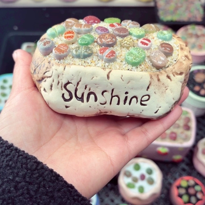 323零下地区记得拍保温箱满18包邮