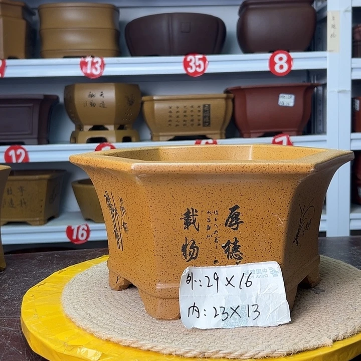 紫砂花盆蛇年大吉