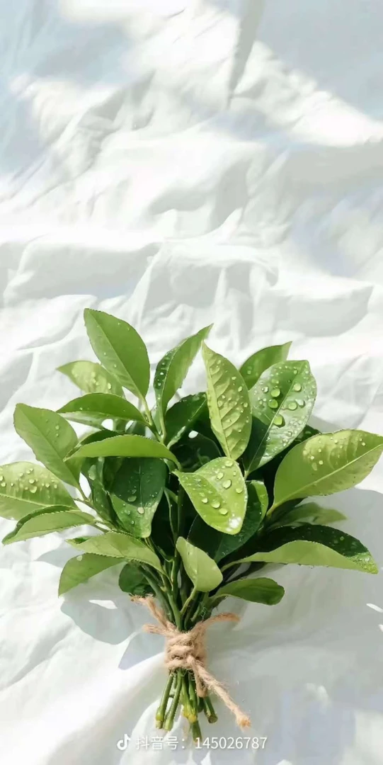 小张推荐文具以直播间推荐为准020