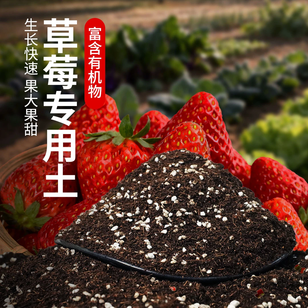 草莓专用营养土疏松透气阳台土壤种植蔬菜瓜果种菜草莓肥料专用土