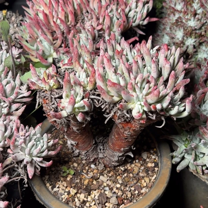 801哈哈哈哈哈哈哈哈