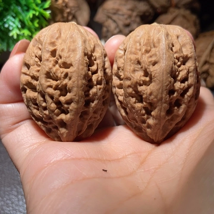 把件文玩核桃东北楸子小雪211