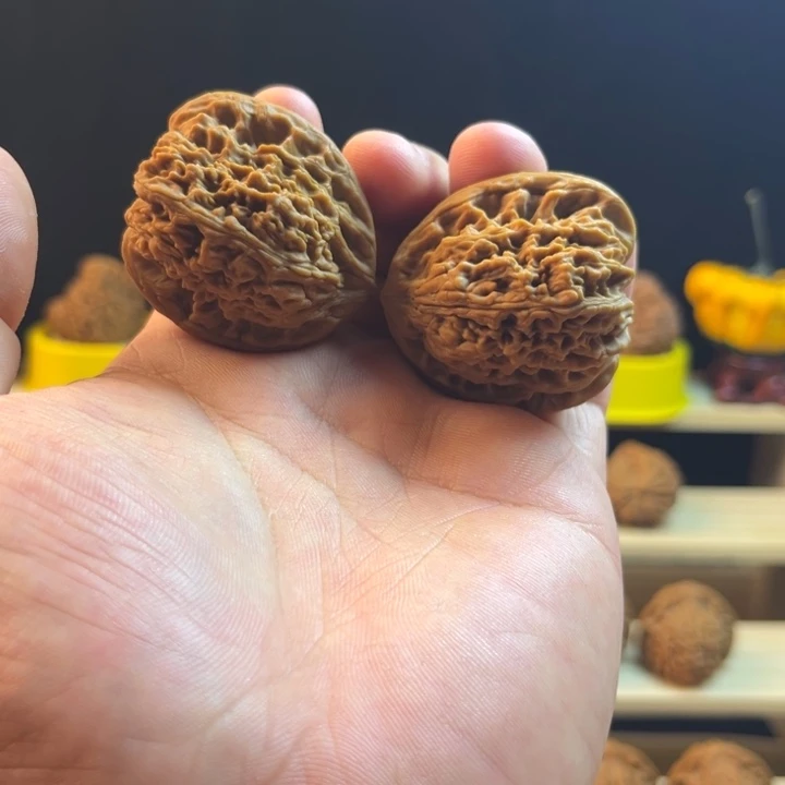 全品无修南疆石天使之翼