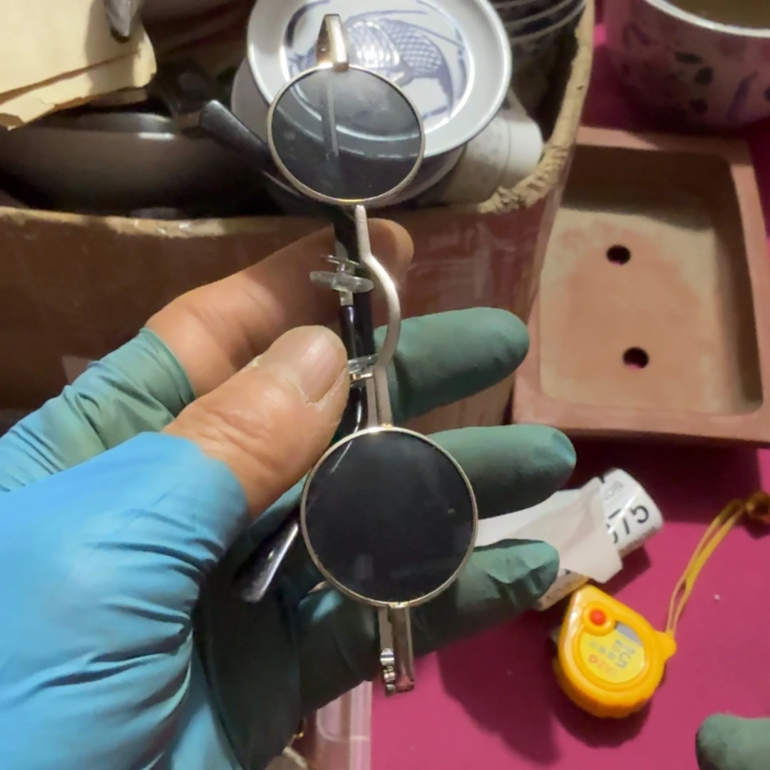 刘****杂色豆（科檀/科特迪瓦檀木）