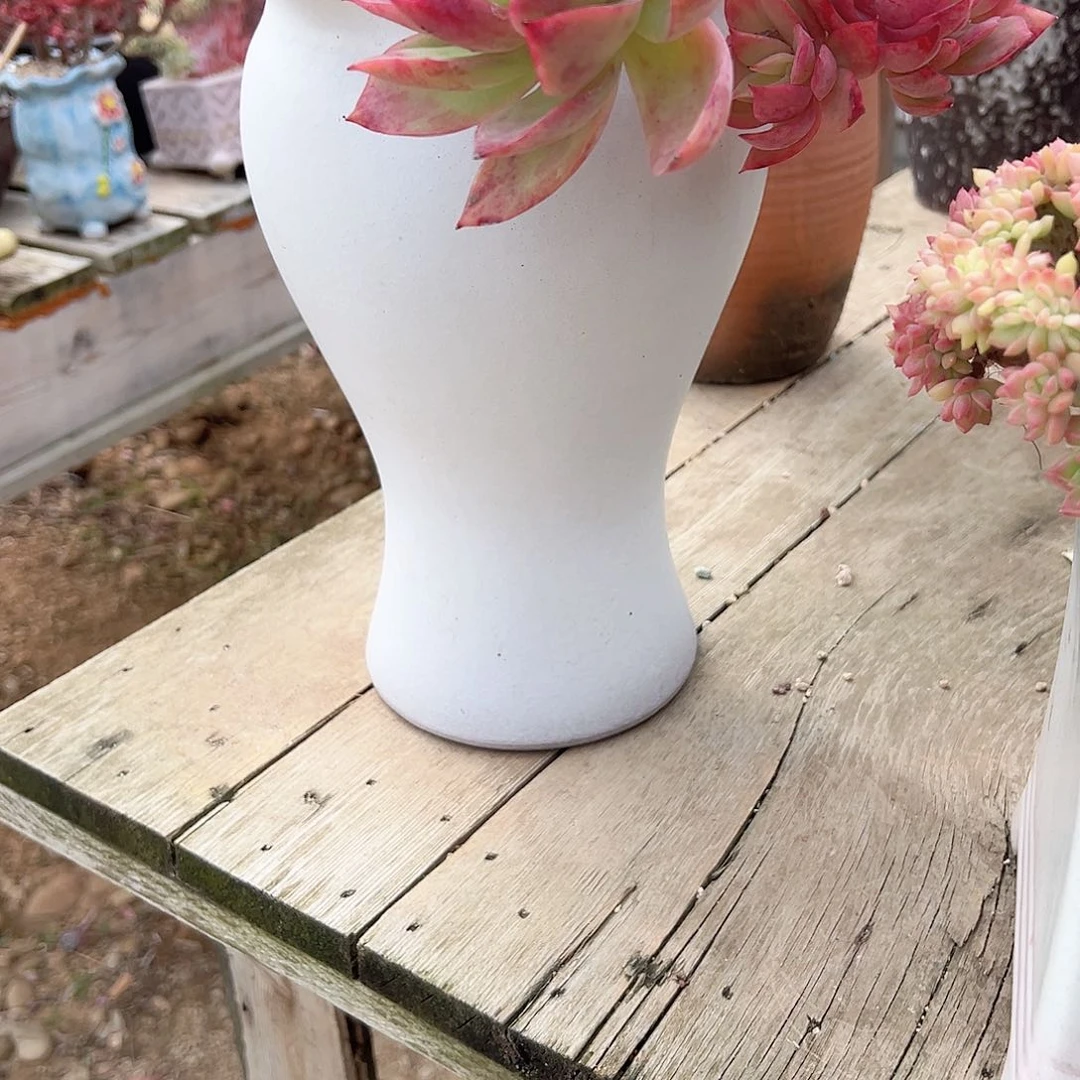 浪**生多肉盆多肉盆