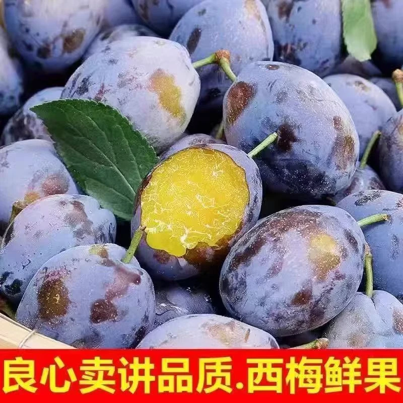 Y【放软更甜】新鲜现摘西梅当季水果酸甜多汁产地直发孕妈多仓发货