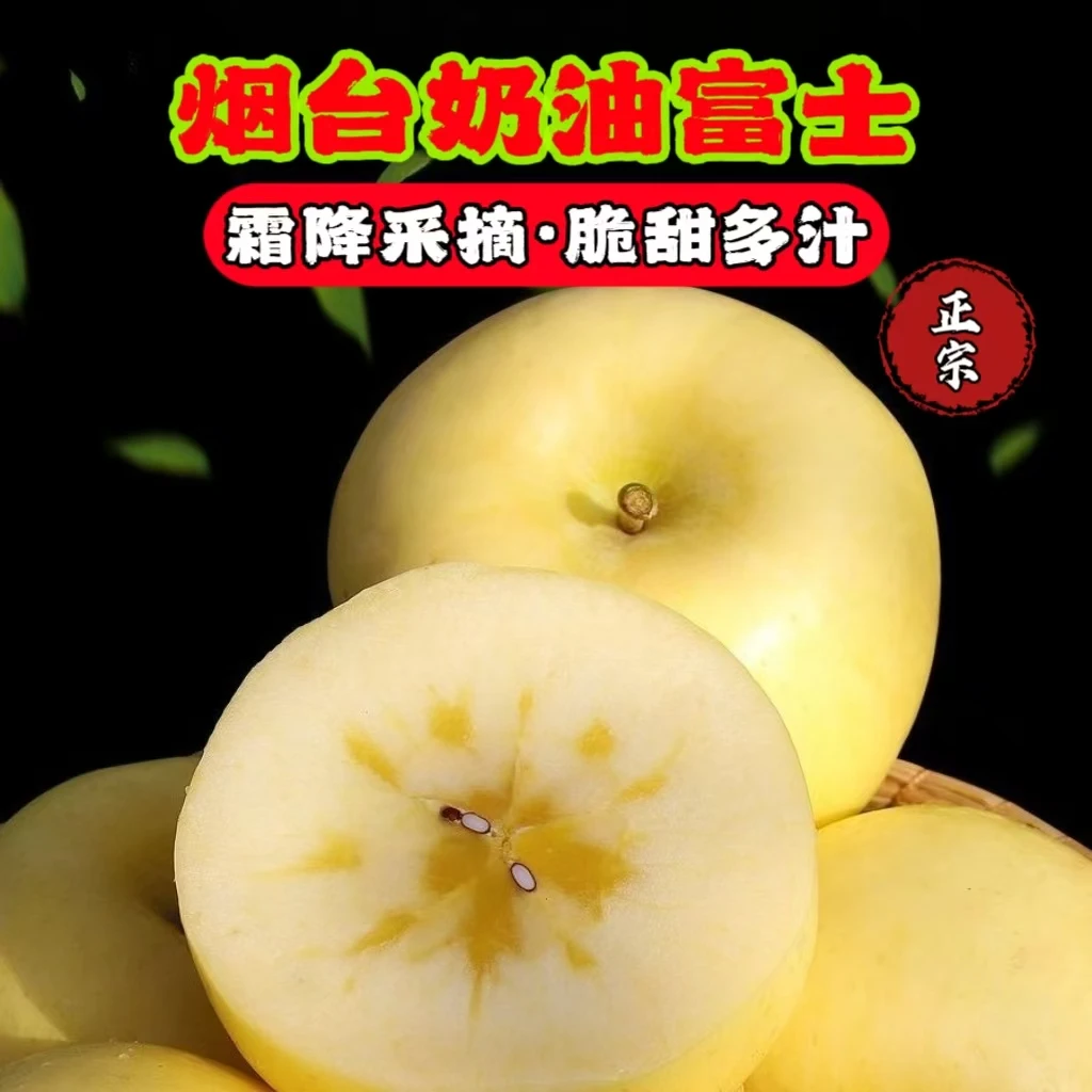 【产地直发】奶油苹果山东烟台黄金富士脆甜多汁丑冰糖心新鲜水果
