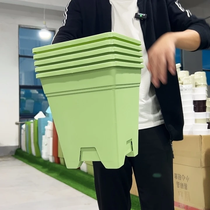正品方盆口20高22果绿5只无托
