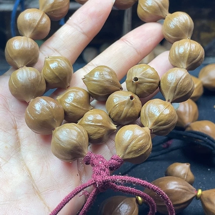 广西小油核橄榄18颗手持16x 18