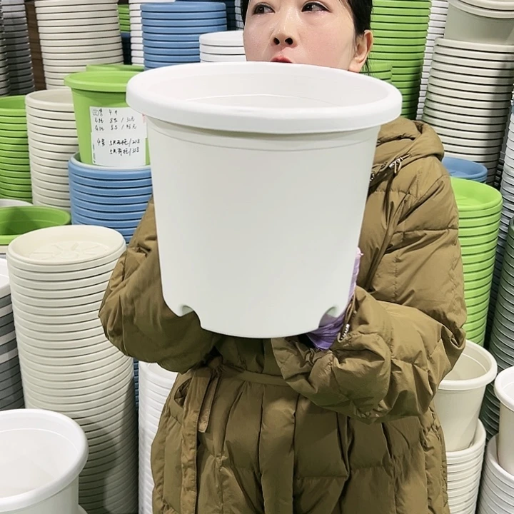 特价4号四季口25高21.5白色10只无托