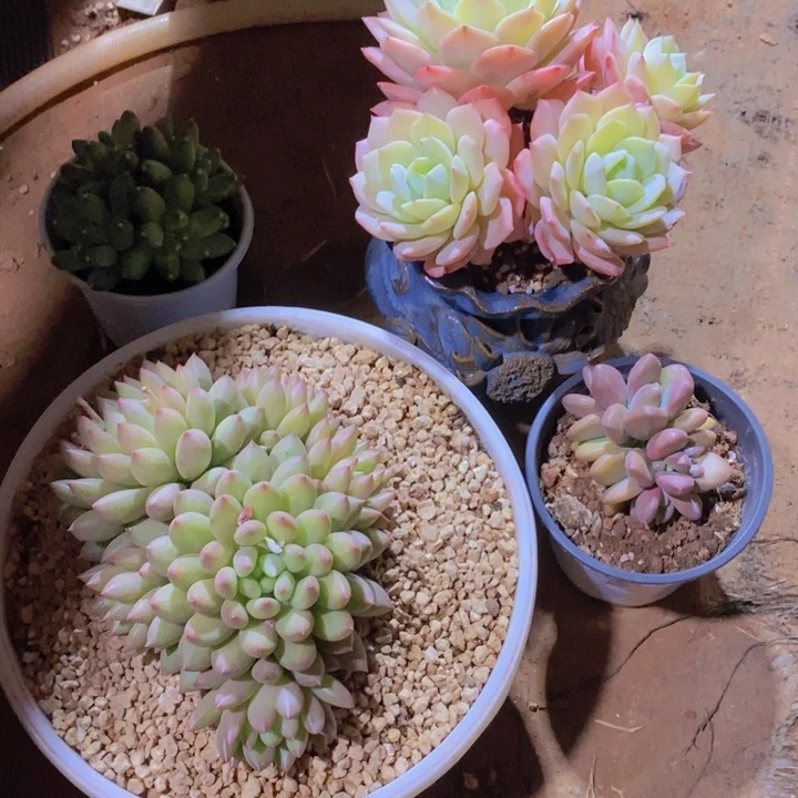 在家干吗你现在不说话