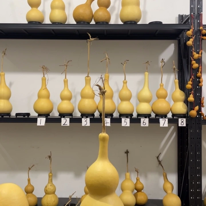 財***進长嘴46肚厚皮葫芦