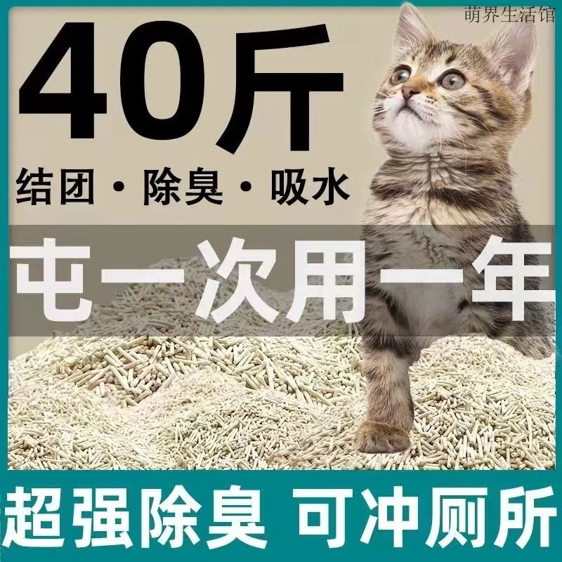 除臭无尘可冲厕所结团专用豆腐猫砂猫咪用品