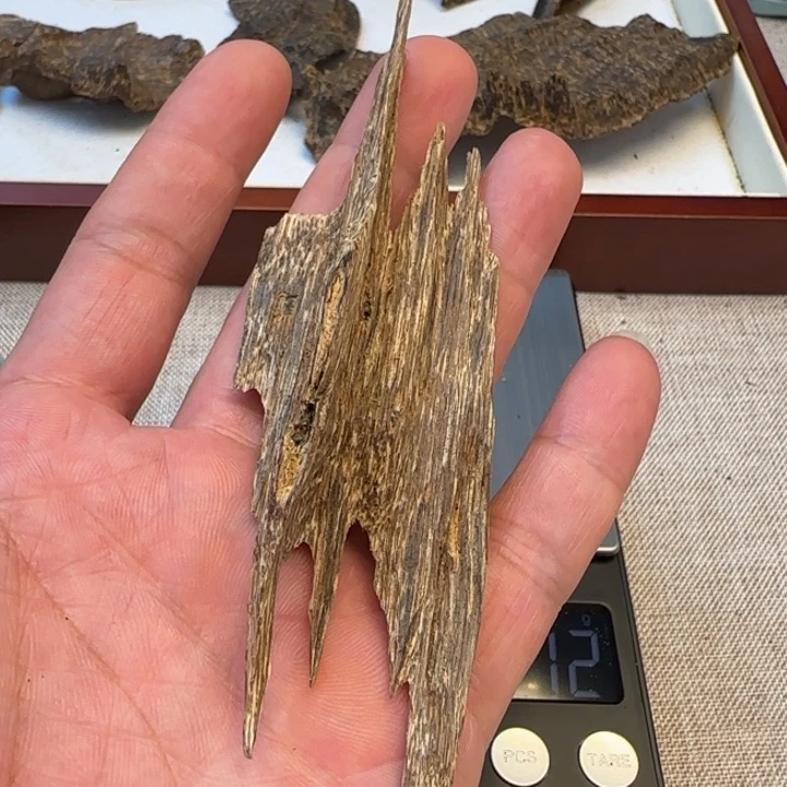 摆件沉香黎峒房梁5.7克