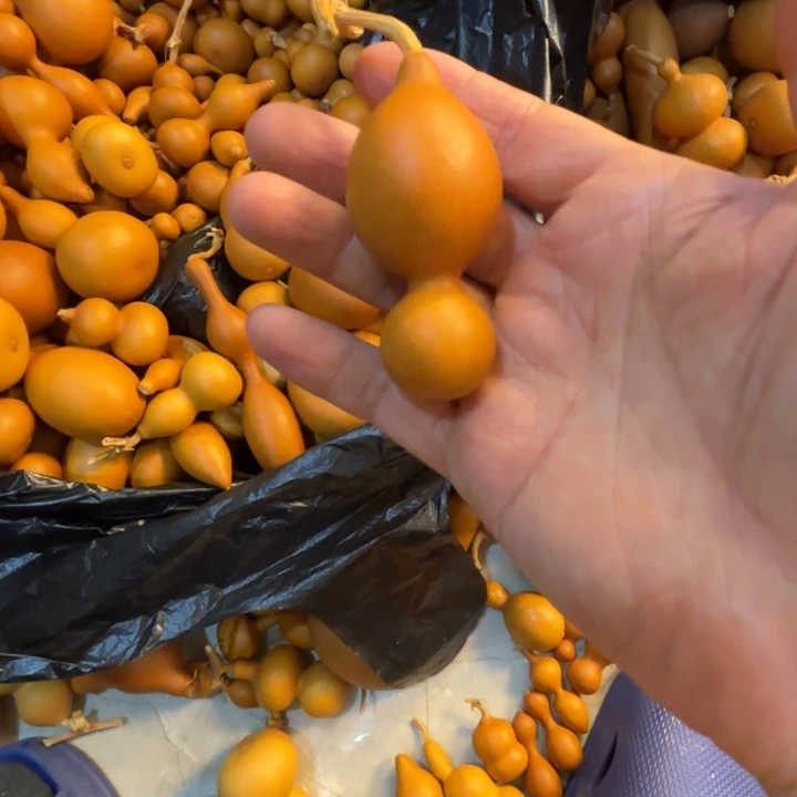 阿***室理发造型师的一把豆腐，八宝葫芦