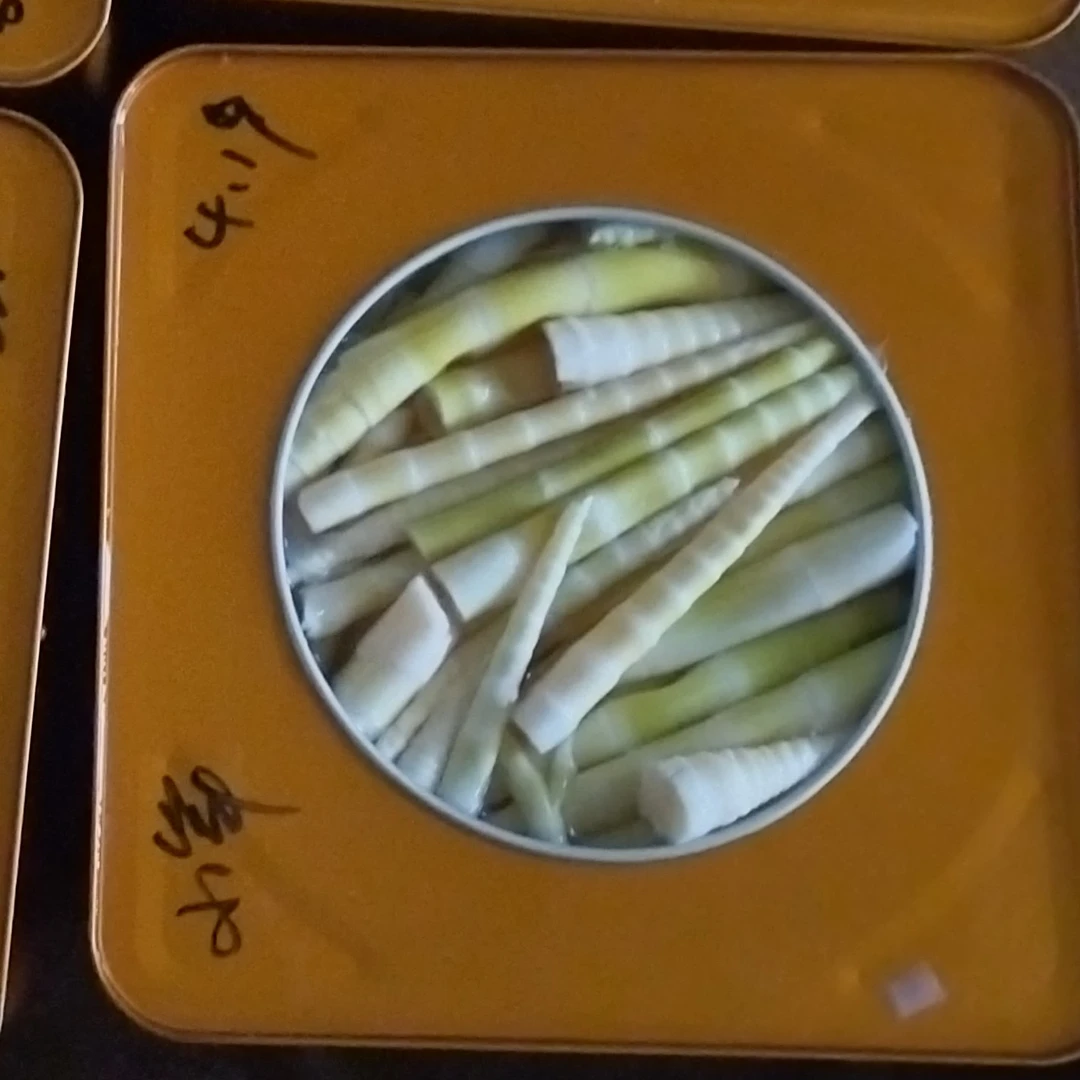 高山野生新鲜嫩笋尖清水竹笋可用于火锅凉拌新鲜竹笋正宗小竹笋