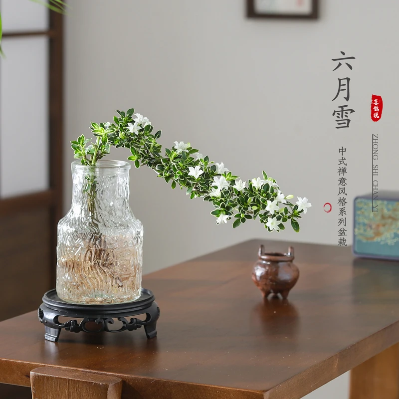 六月雪盆栽水培绿植造型盆景办公室内桌面懒人好养活观叶植物茶几
