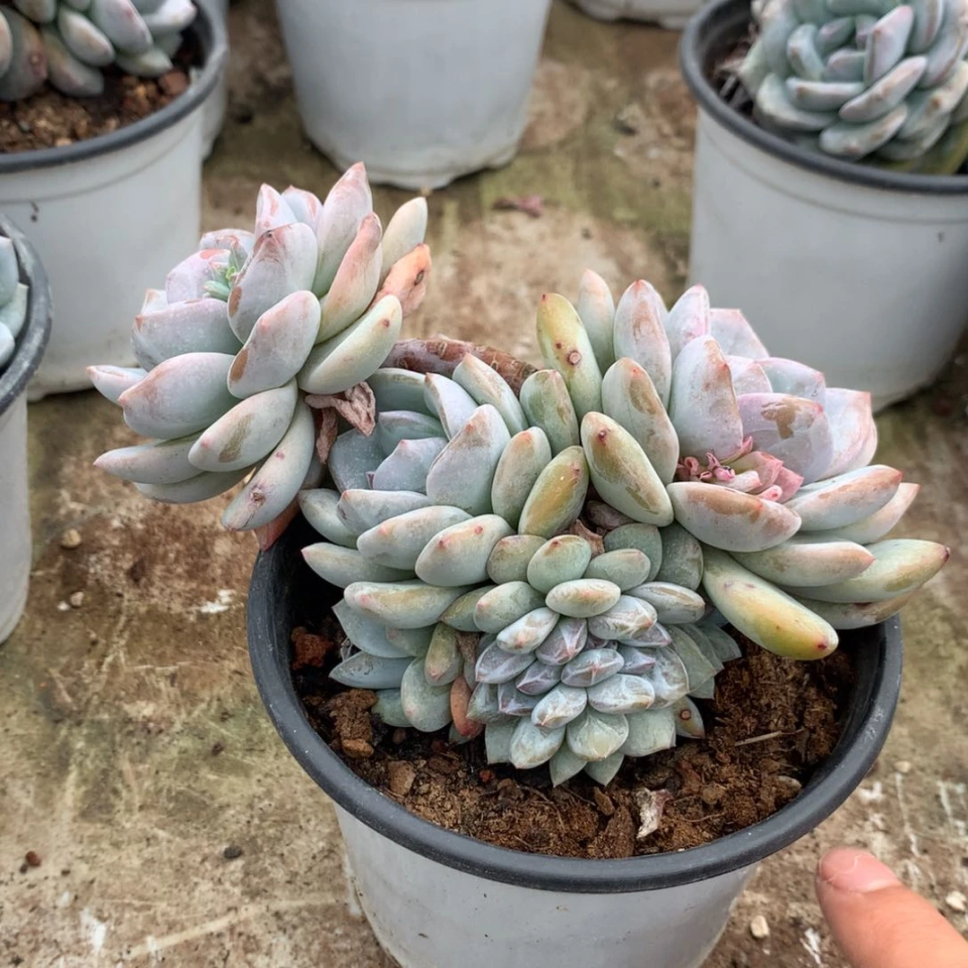 哈哈哈哈哈哈哈哈哈哈哈