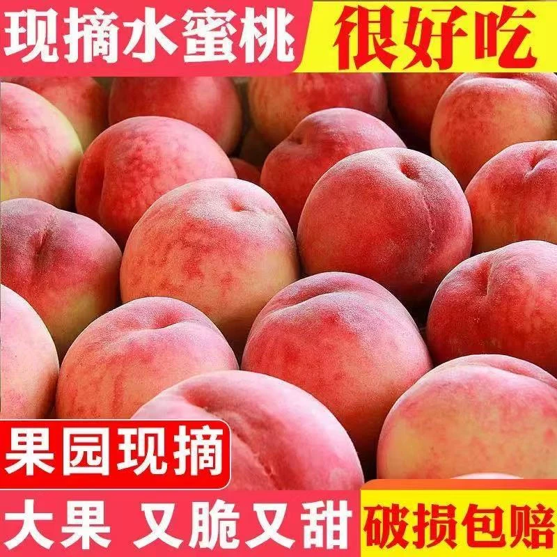 【京东】正宗蒙阴水蜜桃桃子整箱当季现摘毛桃孕妇水蜜桃