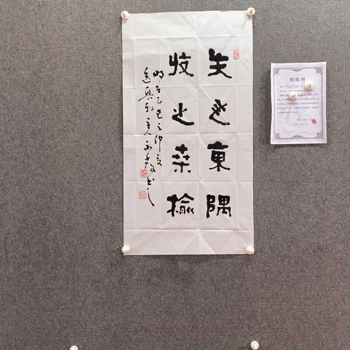 书法书法作品多次参加
