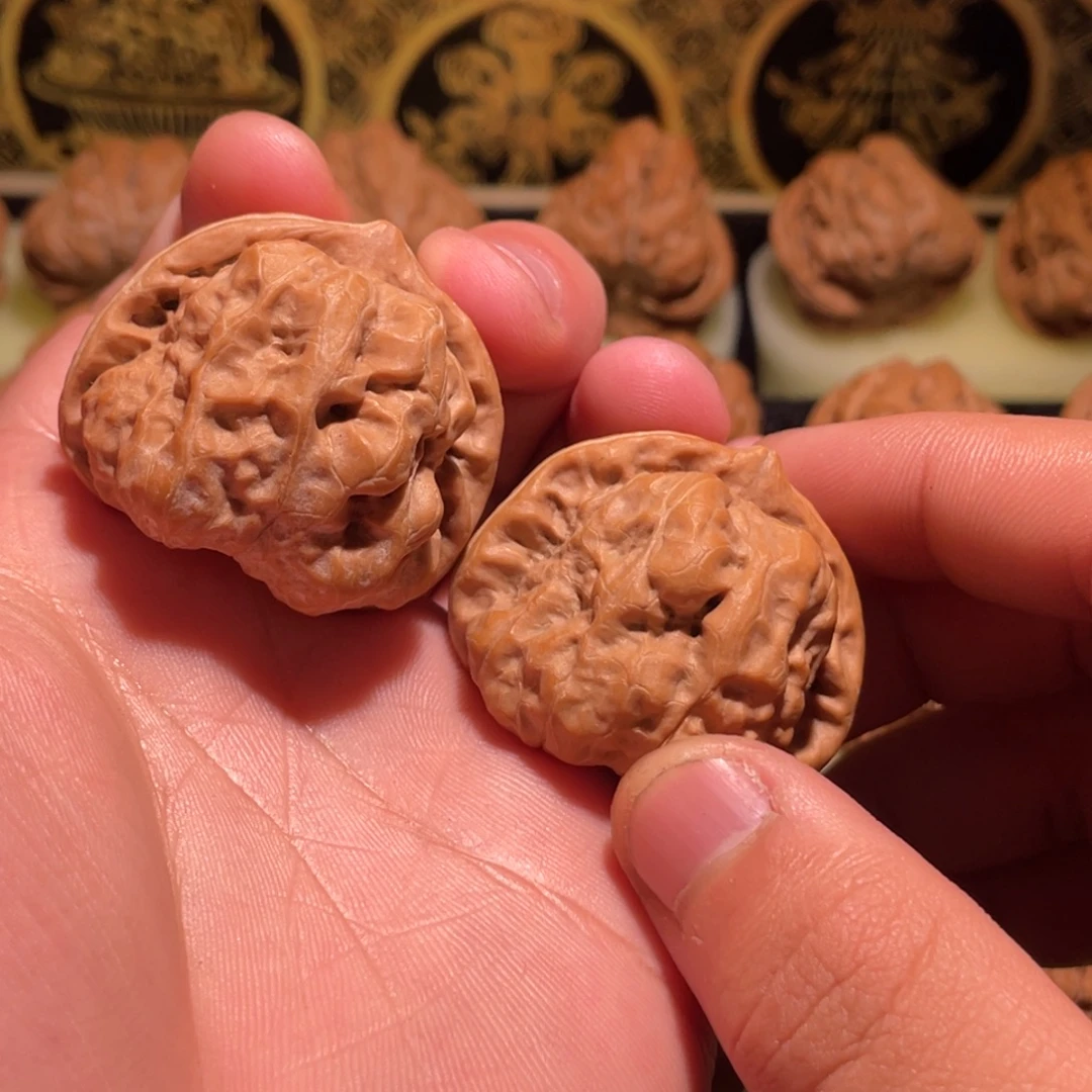 摸***儿蛤蟆延庆一代山地蛙